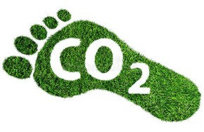 carbon-footprint-symbol-concept-barefoot-made-lush-green-grass-text-co-171437484.jpg
